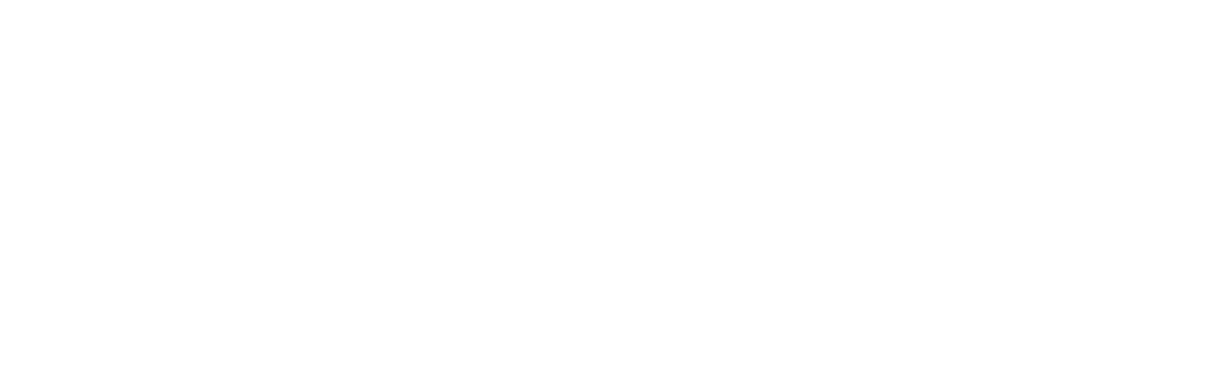 40lime.com logo